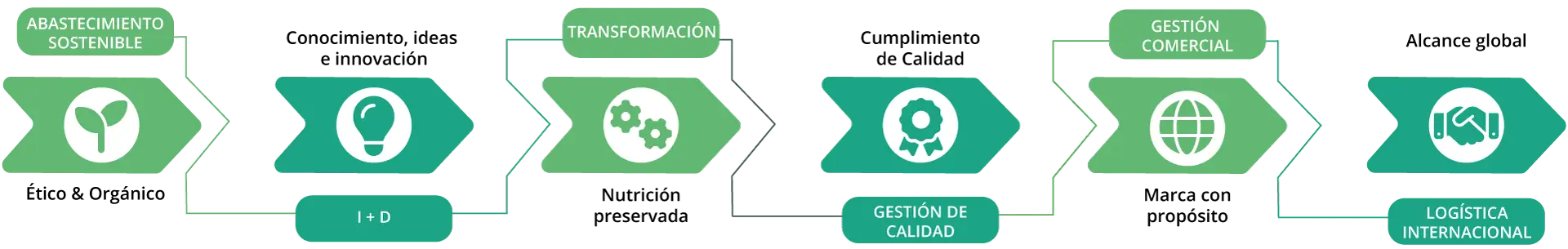 Cadena de Valor